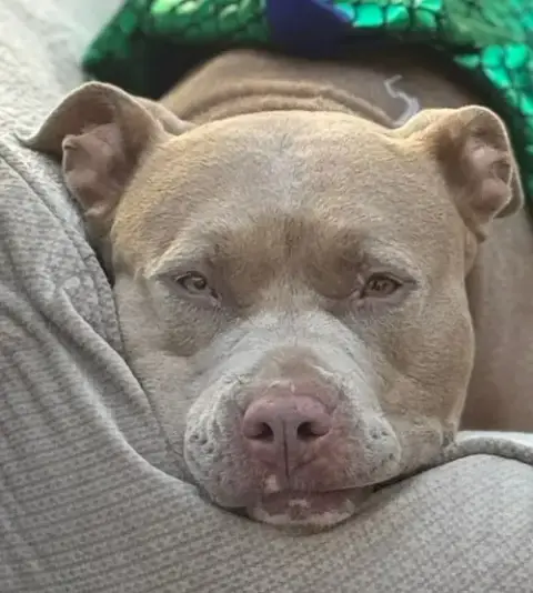 Khloe