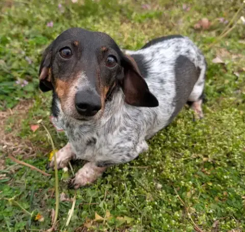 Rudy In Ga