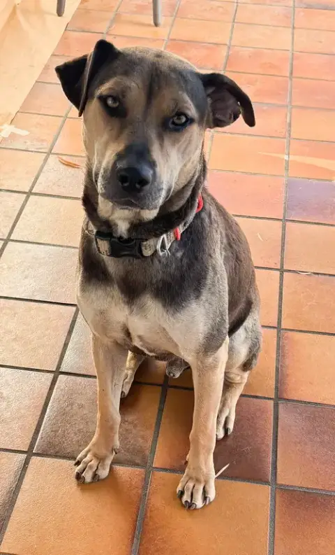 Buddy photo 2