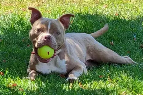 Karma photo 5