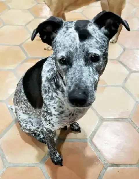 Maya photo 3