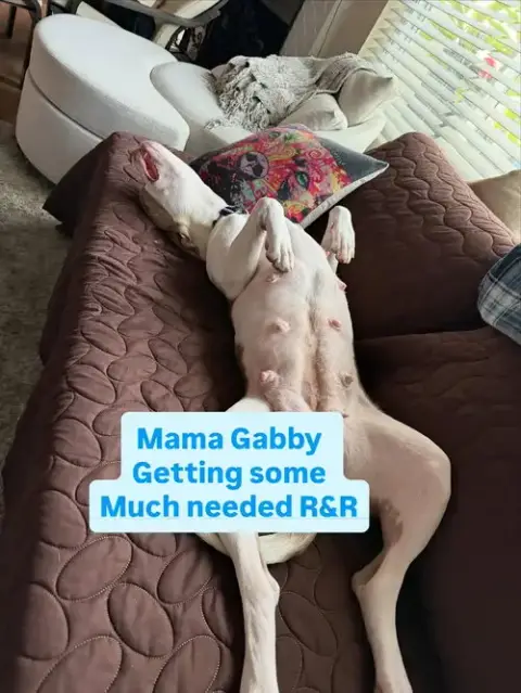 Gabby photo 4
