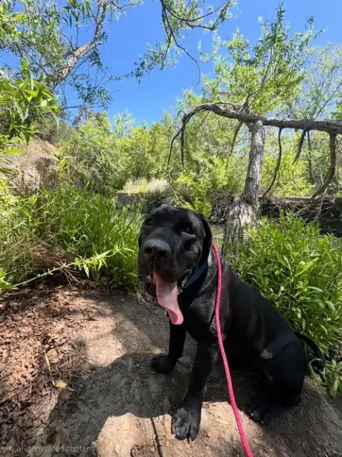 Dudley-Special Needs photo 2