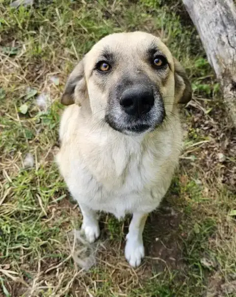 Sasha photo 5