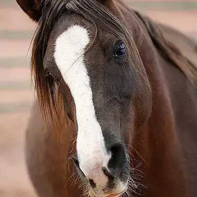 Helen photo 1