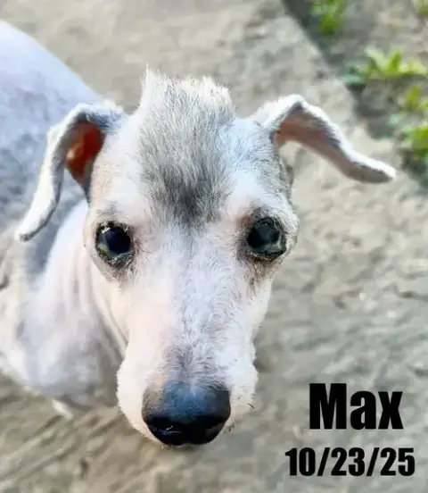 Max photo 2