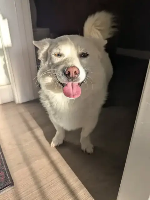 Mochi photo 2