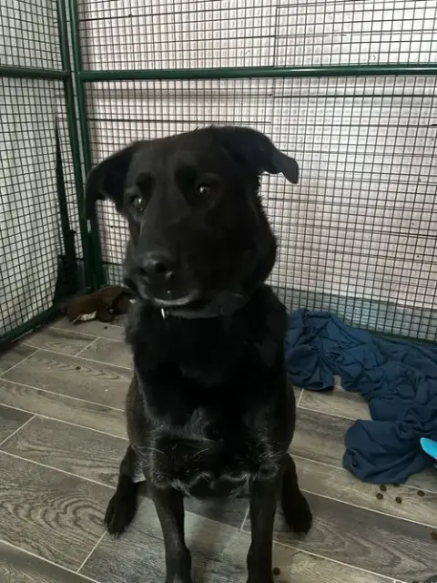 Bella