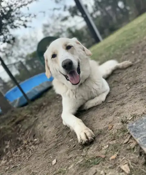 Theodore
