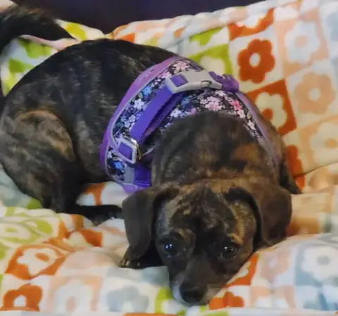 Layla photo 3