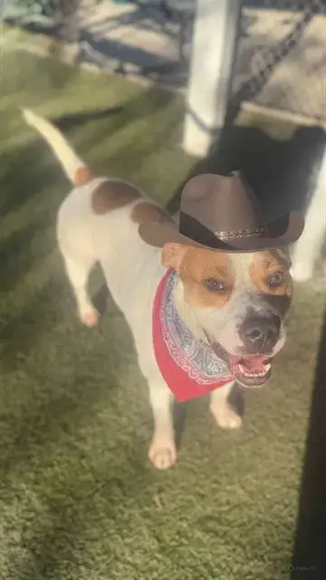 Benny