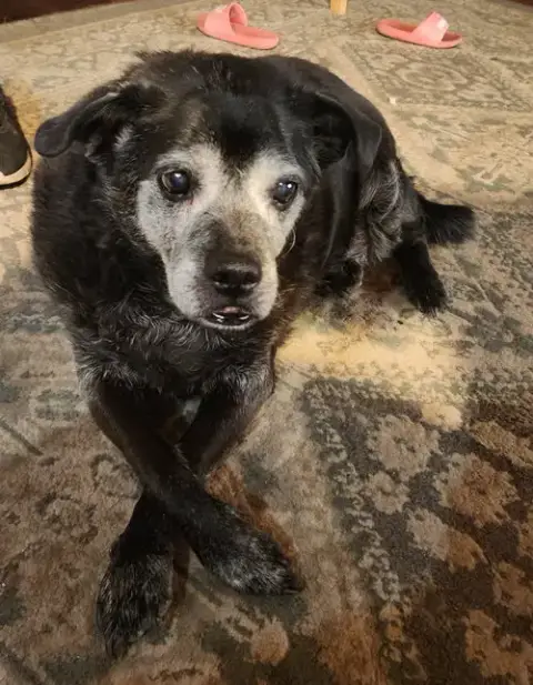 Ernie