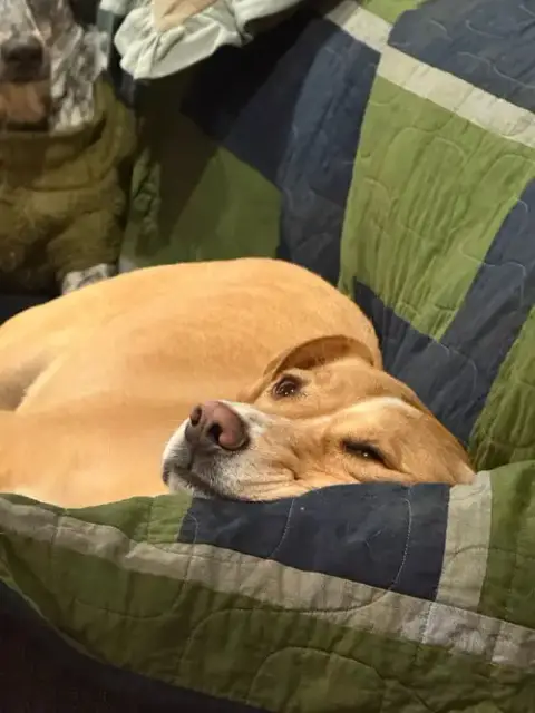 Sadie photo 3