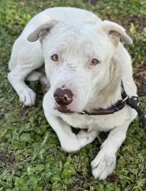 Tucker