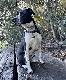 Lola photo 2
