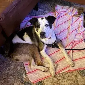 Maggie photo 4