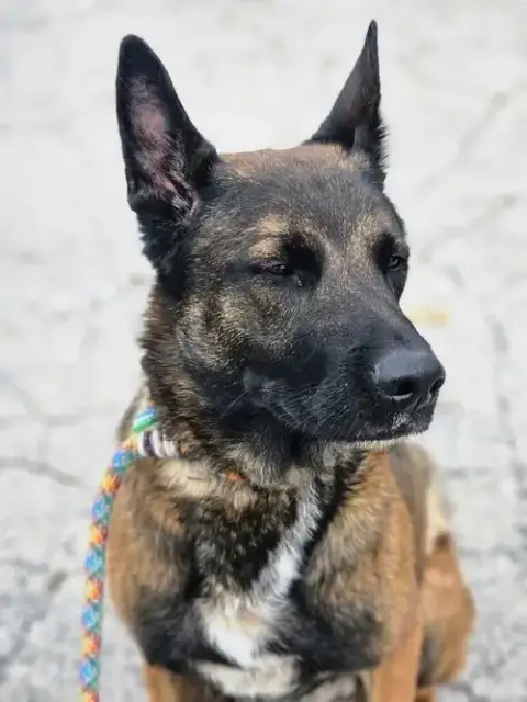 Luke photo 2