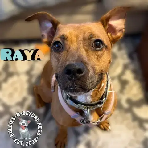Raya