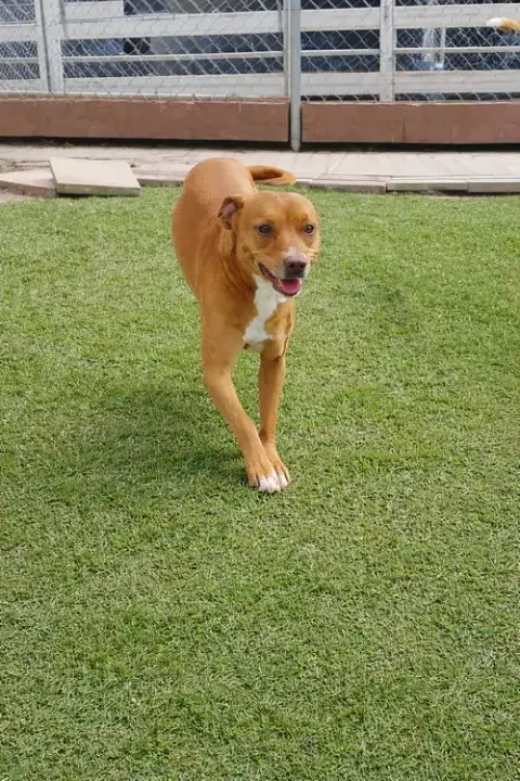 Maya photo 3