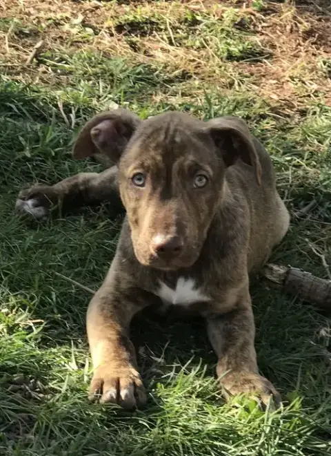 Gus photo 2