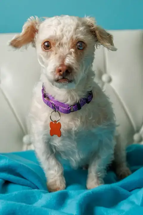Winnie