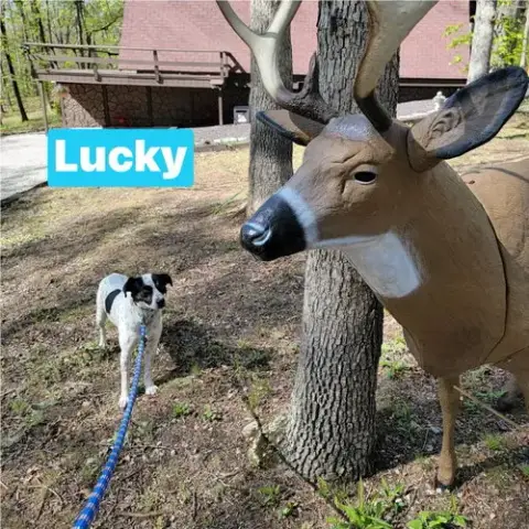 Lucky photo 2
