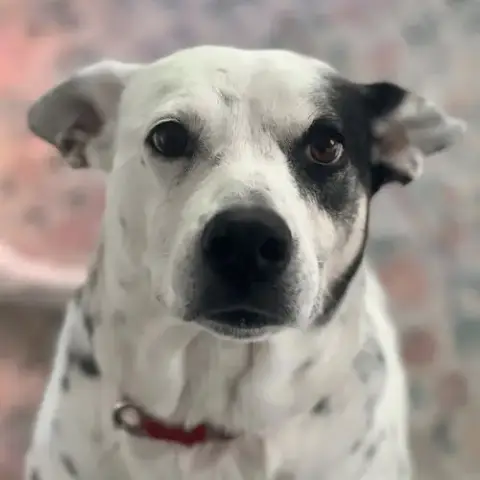 Nora photo 3