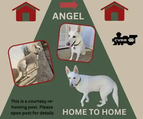 *Angel* Home To Home