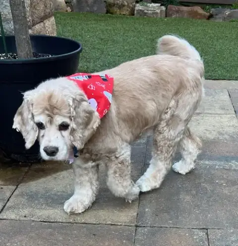 Kathy