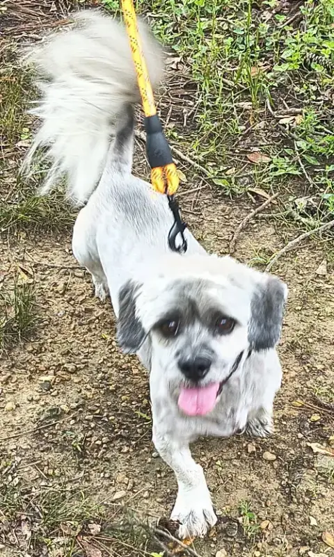 Tucker photo 3