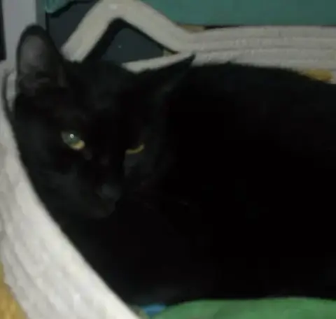 Luna photo 5