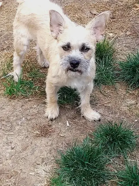 Kenzie And Sofie A Bonded Mom And Daughter Pair