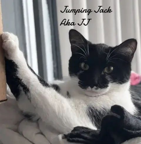 Jumping Jack photo 5