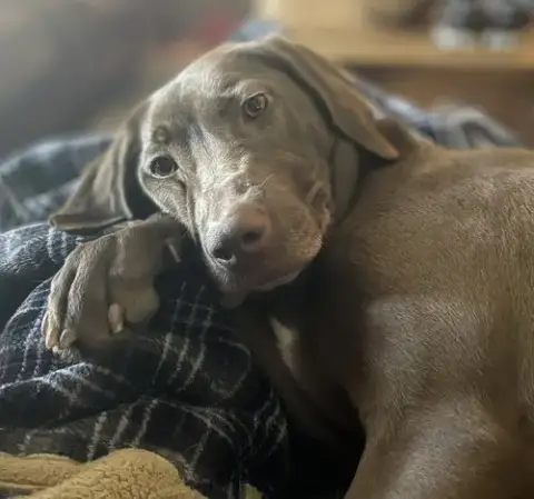 Ella Mae Roo photo 5