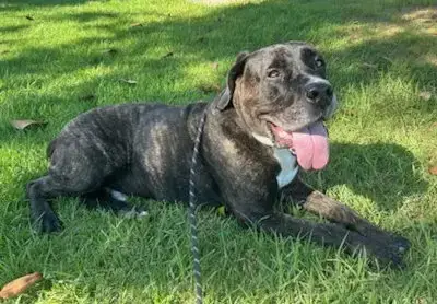 Finn photo 2