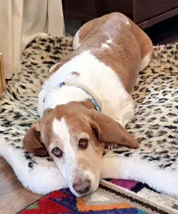 Jake photo 3