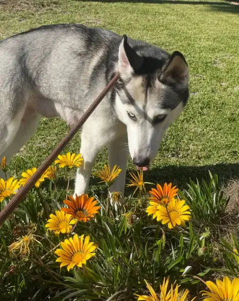 Marlee photo 2