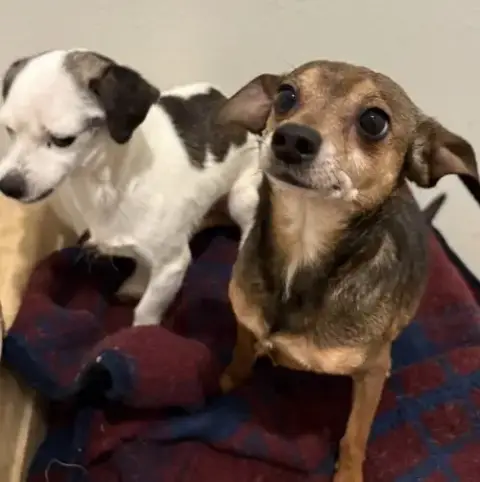 Mable & Oliver photo 2