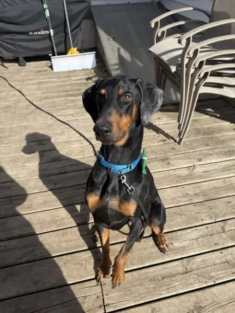 Killian