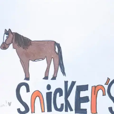 Snickers photo 2