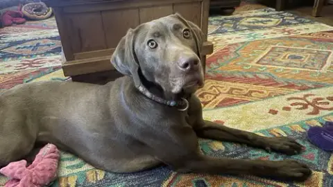 Ella Mae Roo photo 3