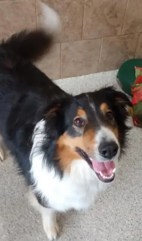 Sawyer photo 3