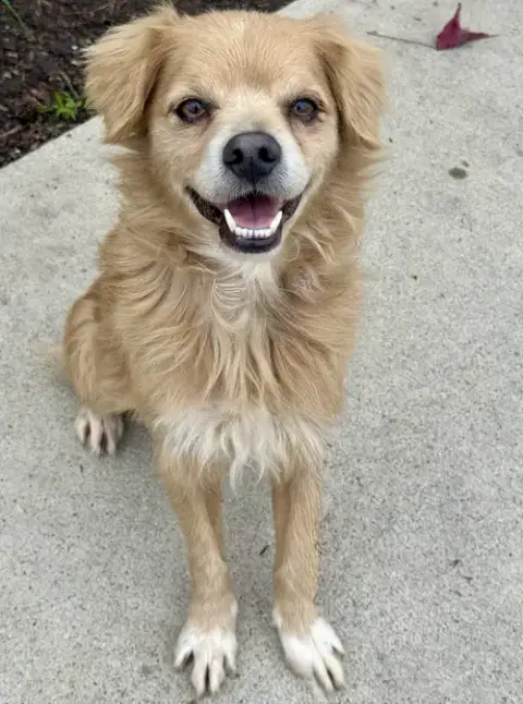 Buddy photo 2