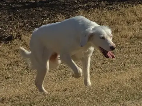 Sally photo 5