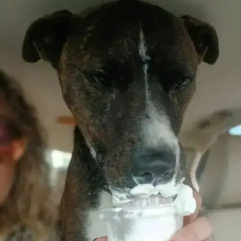 Jack Barkley photo 3