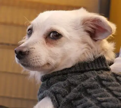 Ernie photo 2