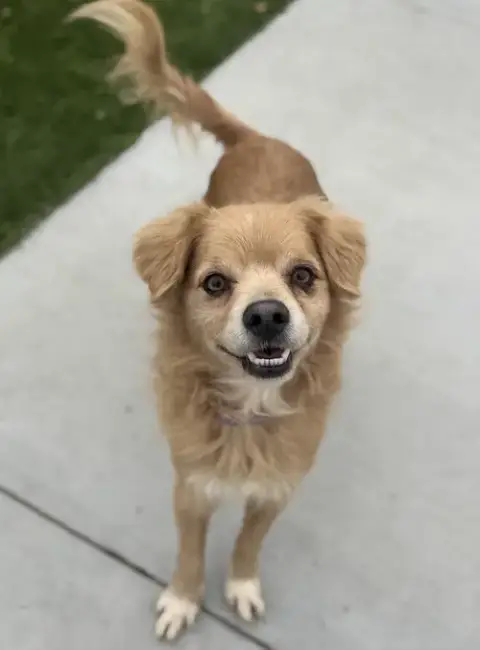 Buddy photo 3
