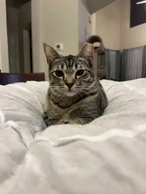 Gigi photo 2