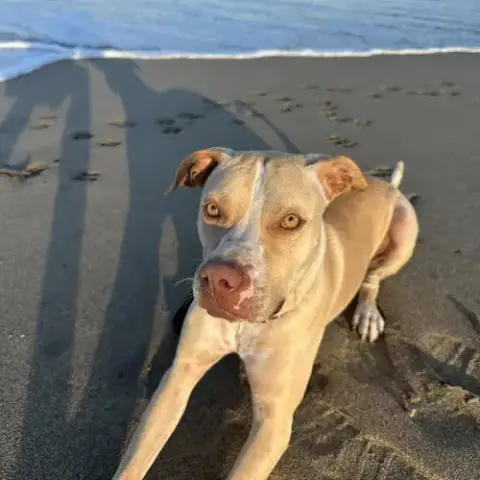 Luna photo 2