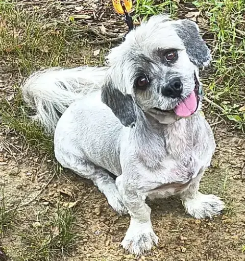 Tucker photo 2